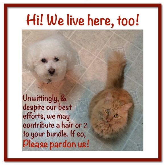 Vintage Kitten Party Toothpicks! 🧶 - Picture 10 of 11